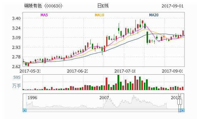 揭秘000630股票，投資潛力與策略深度解析