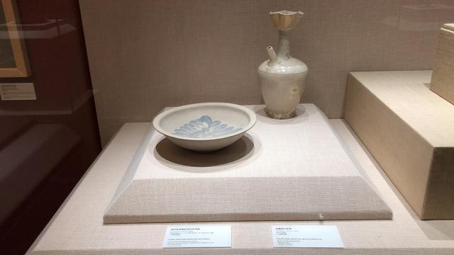 國(guó)博海洋樂(lè)園最新進(jìn)展，邁向未來(lái)的影響與期待