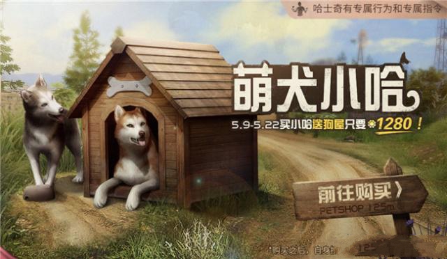 新型寵物風(fēng)潮，另類寵物的興起、爭(zhēng)議與介紹