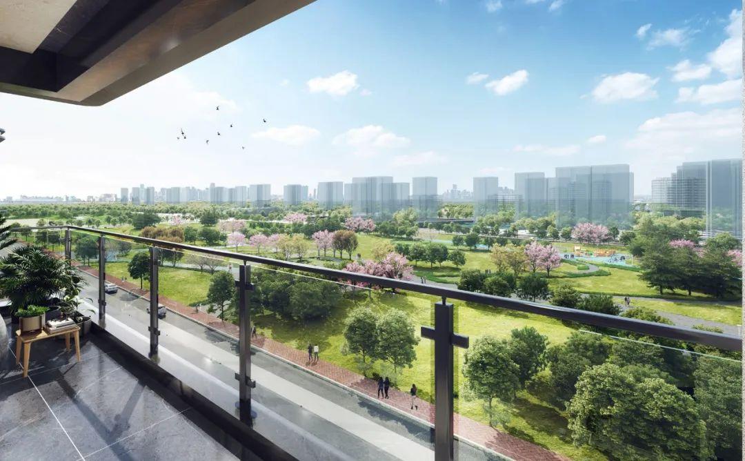 港悅城最新動(dòng)態(tài)，變化中的學(xué)習(xí)之旅，自信與成就感的源泉