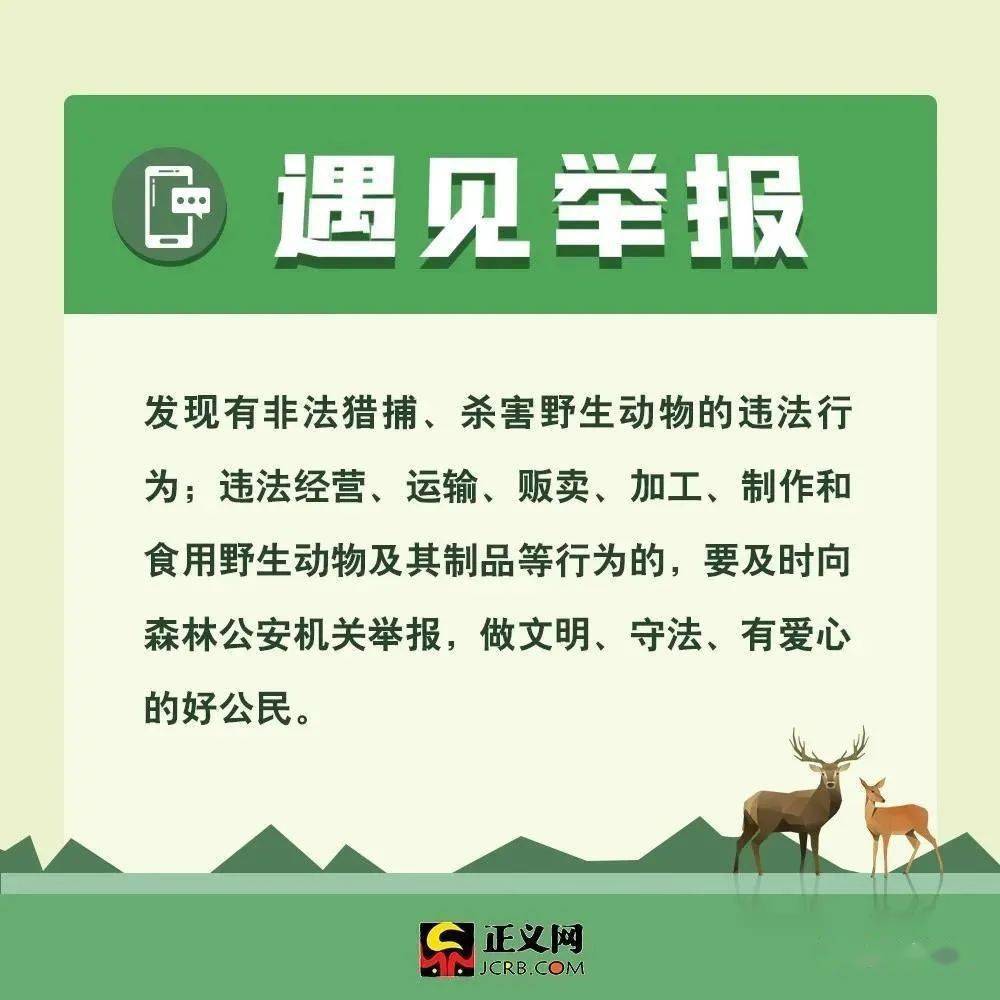 最新野生動物保護法規(guī)與小巷深處的綠色秘境探秘，保護行動與獨特小店的獨特故事