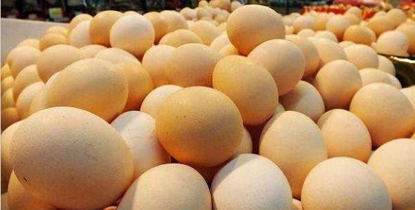 今日臨沂雞蛋價格行情,今日臨沂雞蛋價格行情