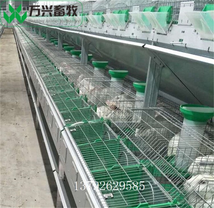 革新養(yǎng)兔業(yè)，新型兔籠引領(lǐng)里程碑式發(fā)展