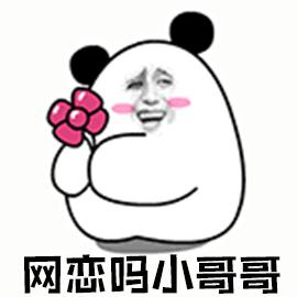 開啟并經(jīng)營一段網(wǎng)戀關(guān)系的實用指南，一步步教你掌握網(wǎng)戀動態(tài)！