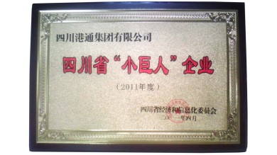 港通醫(yī)療上市進展及成功與否的探討