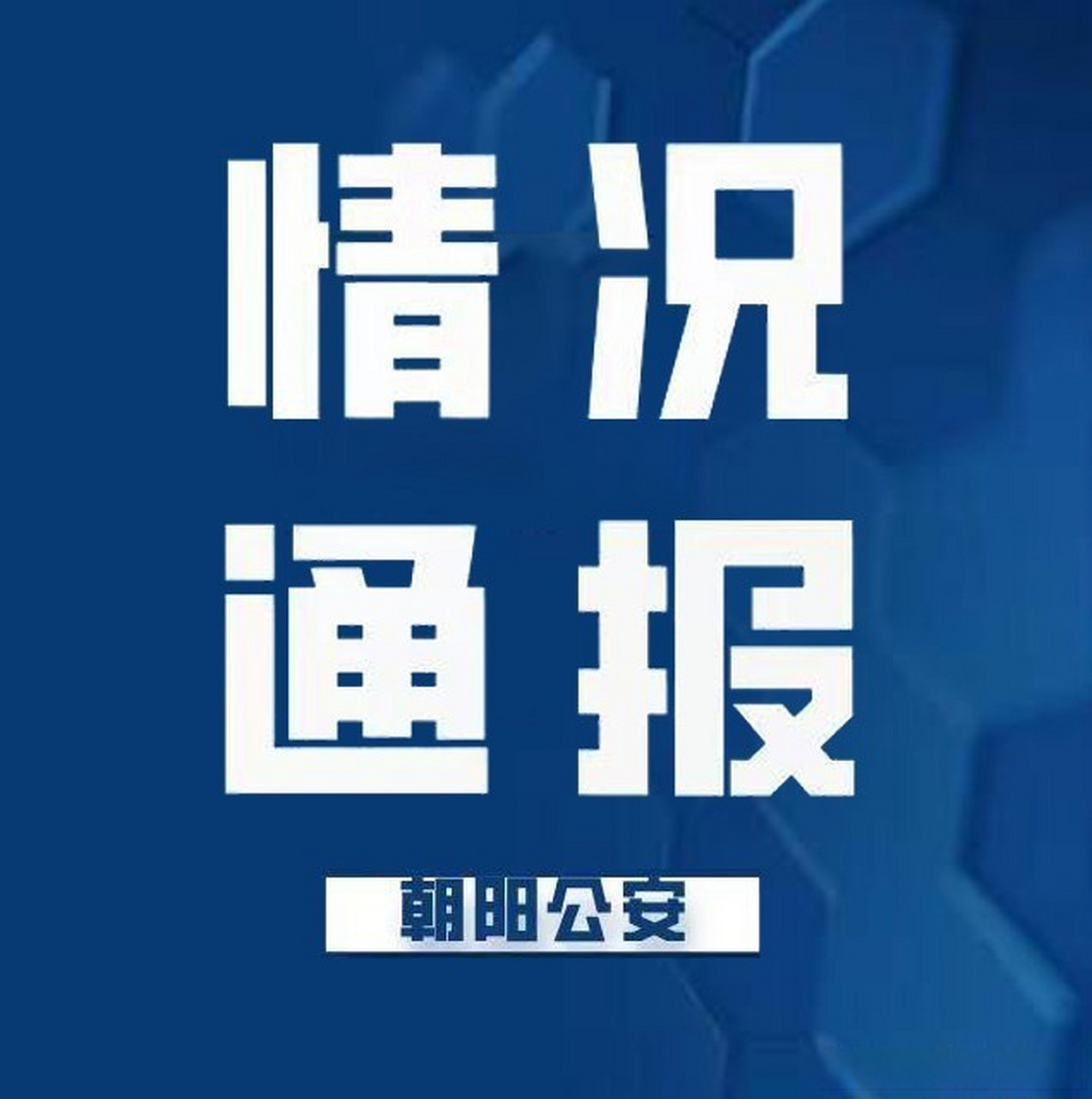 最新動(dòng)態(tài)揭示，平凡日常的溫馨故事