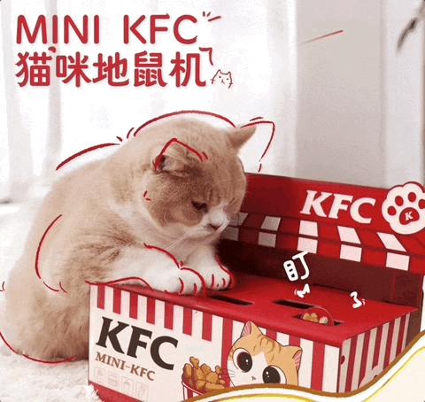 肯德基兒童套餐最新贈(zèng)品，學(xué)習(xí)與成長(zhǎng)的力量之源