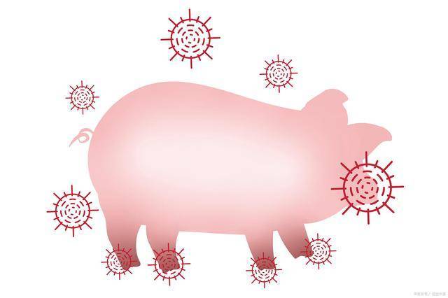 豬瘟疫情最新動(dòng)態(tài)，一場(chǎng)與自然美景的輕松遨游之旅