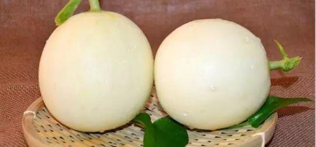 莘縣燕店鎮(zhèn)甜瓜價(jià)格，時(shí)代甜香記憶的探尋