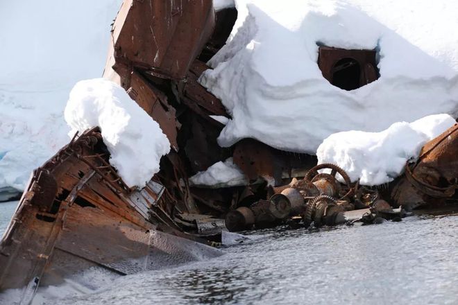 南極奇觀揭秘，探索奇跡與自我超越的力量最新報(bào)道