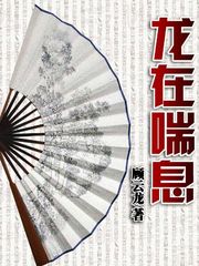 醫(yī)鼎最新章節(jié)閱讀，溫馨日常與友情紐帶的奇妙交織