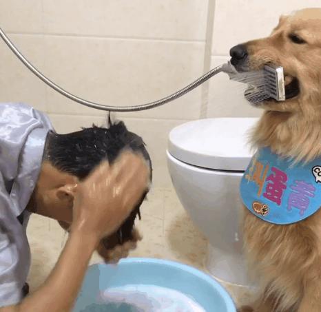 最新手機(jī)支架圖片展示，展現(xiàn)你的正能量與獨(dú)特風(fēng)格，學(xué)習(xí)變化與自信成就