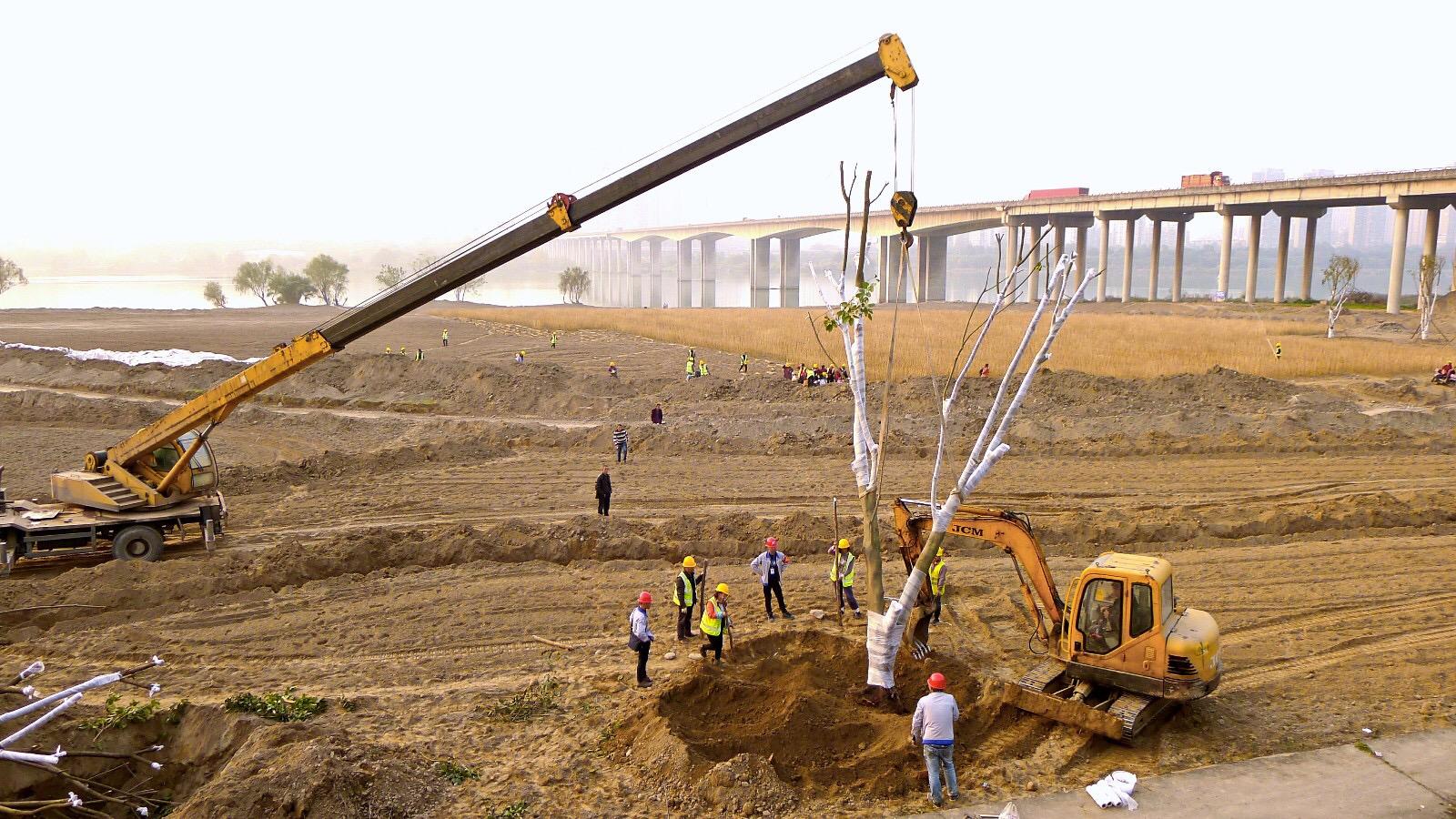 南充下中壩最新建設圖，城市發(fā)展的多維視角與深度分析