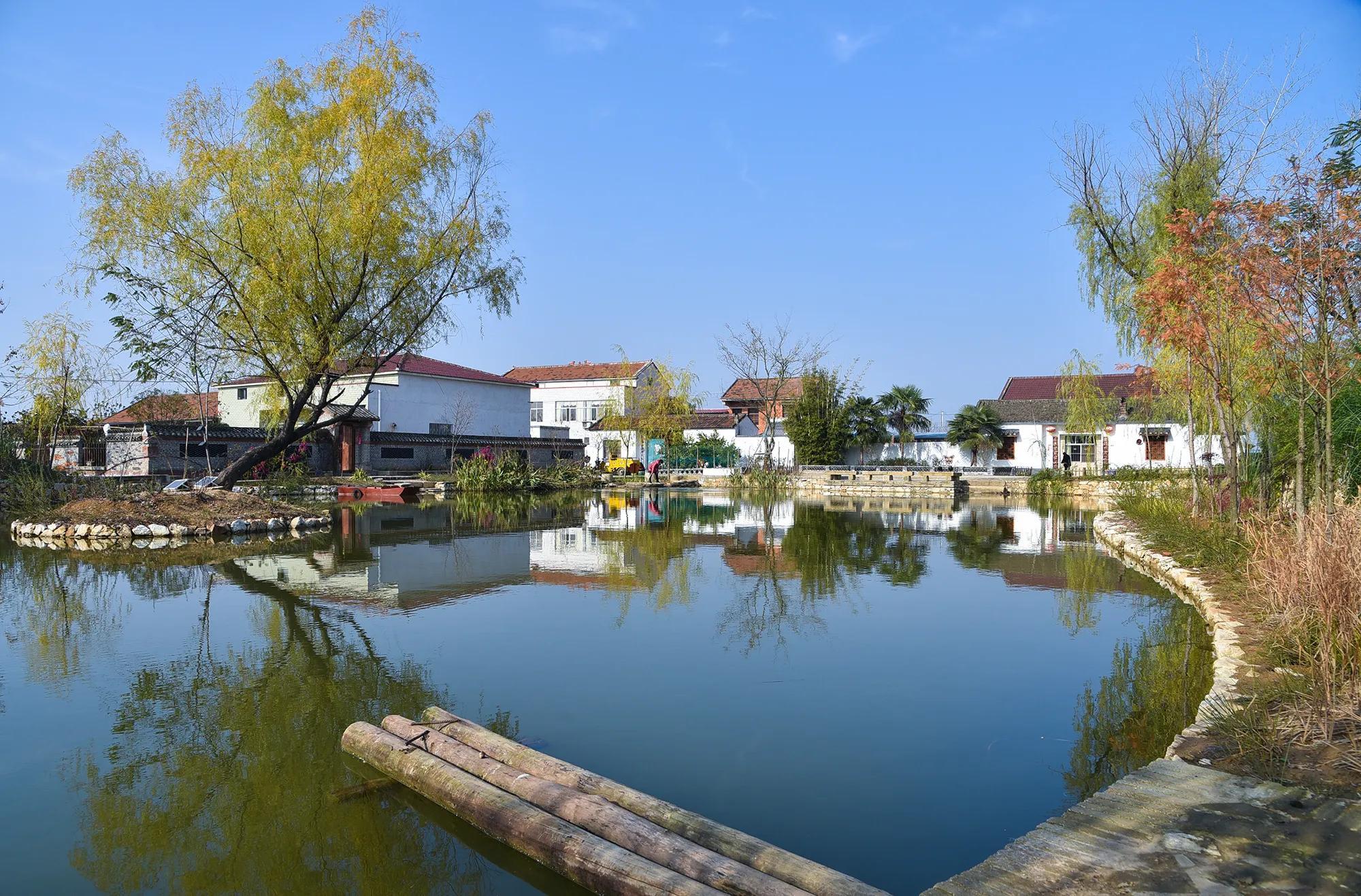 棗陽鹿頭新聞最新動態(tài)及觀點論述