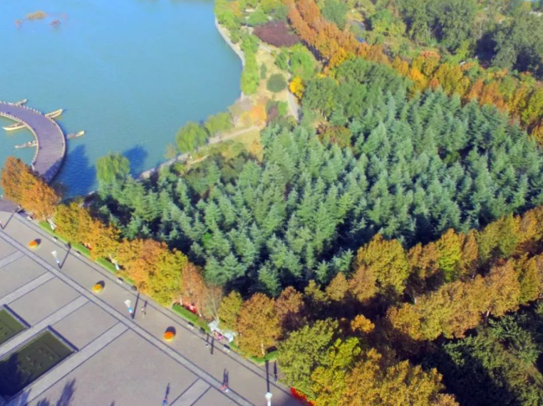 焦作沁泉湖最新動(dòng)態(tài)更新