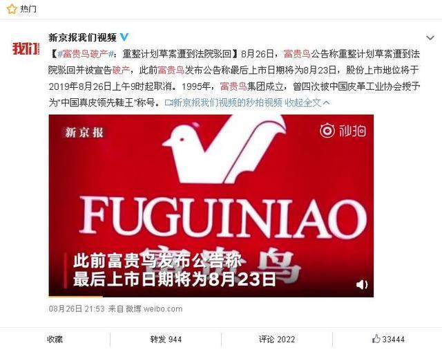 富貴鳥逆境重生，破產(chǎn)背后的力量與變化之美