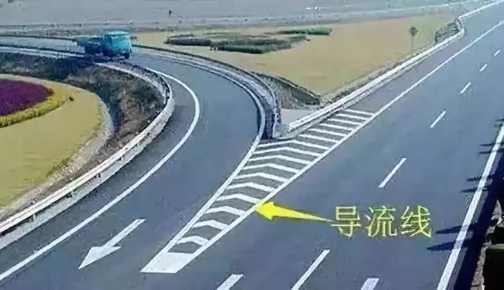 成金青快速路最新動(dòng)態(tài)，日常趣事與情感紐帶揭秘