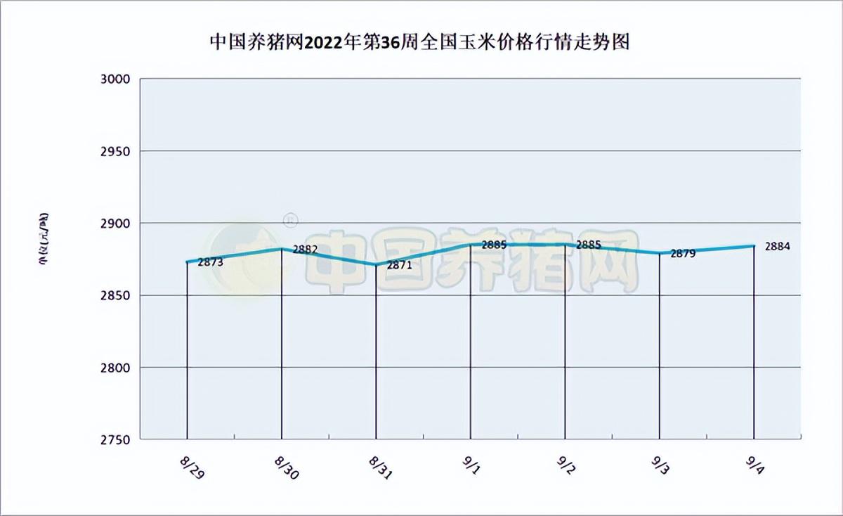 2025最新玉米價(jià)格走勢圖解析與步驟指南