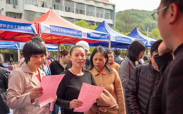 浦城縣招聘網(wǎng)最新招聘，職業(yè)發(fā)展的起點(diǎn)之門