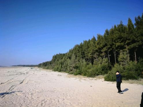 2025年第22號臺風(fēng)最新動態(tài)及應(yīng)對指南(全階段用戶參考)