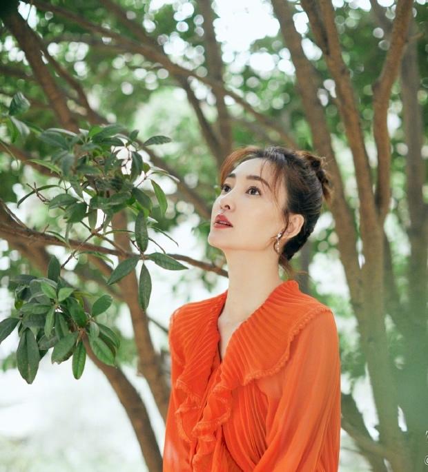 王麗坤最新電視劇，巷弄深處的星光與獨特小店之旅