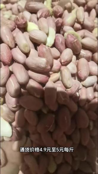 帶殼花生最新批發(fā)價格，變化中學習，成就自信與夢想之路