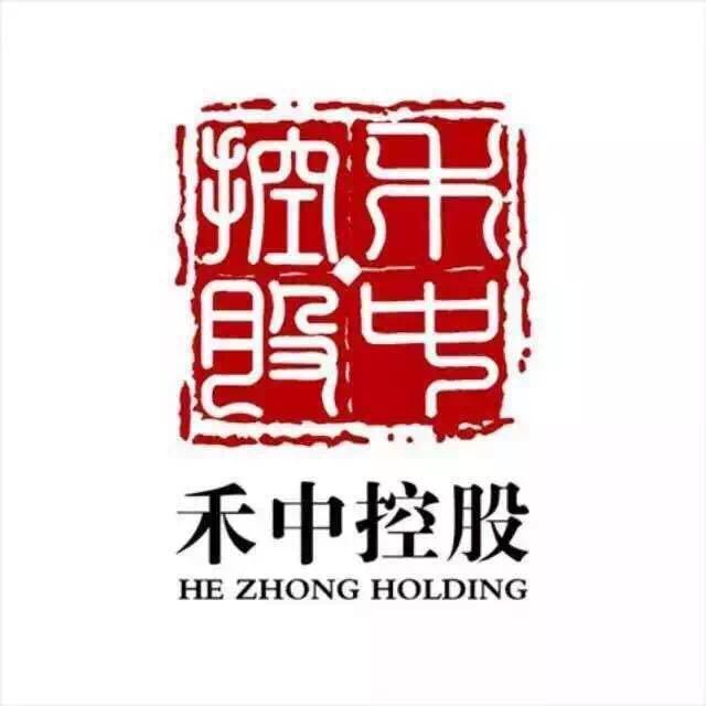 禾中控股集團(tuán)最新消息概覽，權(quán)威指南發(fā)布