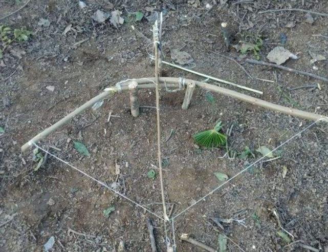 叢林大作戰(zhàn)最新版本攻略，任務完成與技能學習指南（初學者的進階之路）