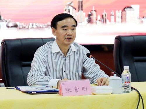 揭秘張常明最新消息，小巷中的隱藏瑰寶