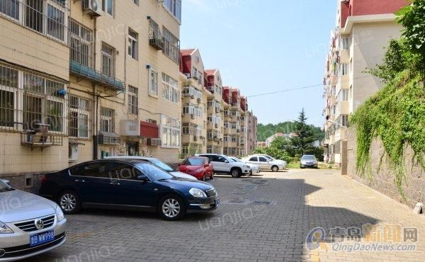 寧國房屋出租最新動態(tài)更新，最新房源信息速遞