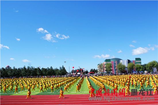 綏濱縣趙國(guó)友最新消息全解析，獲取指南與進(jìn)階技巧