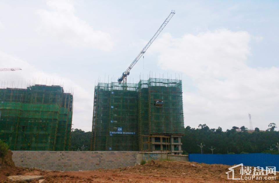 漢軍五象一號科技引領(lǐng)未來，最新動態(tài)揭秘生活重塑之力