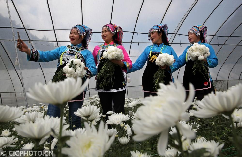 黔西縣鐘山鎮(zhèn)最新動態(tài)，溫馨日常的點滴記錄