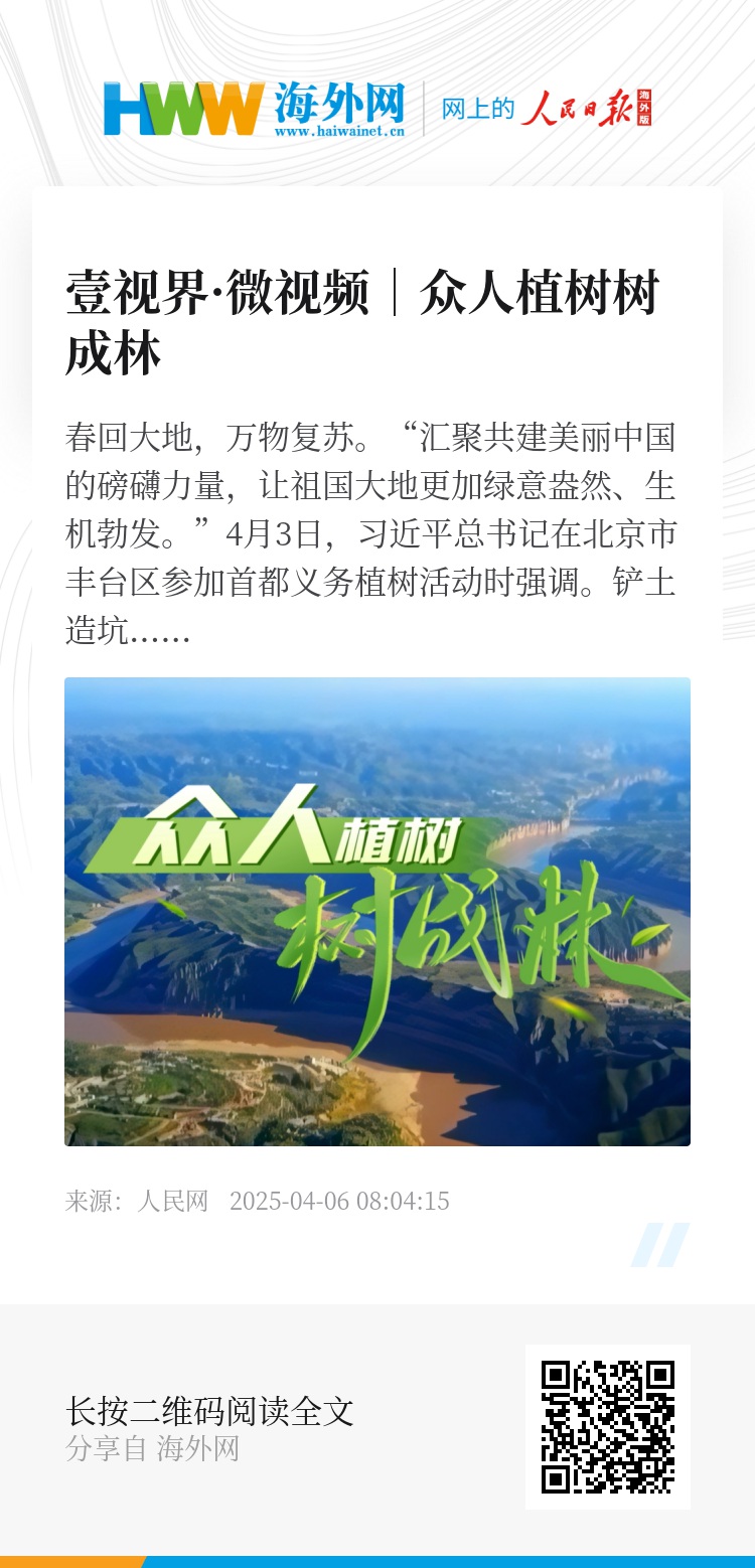 長青樹眾籌最新動態(tài)，小巷驚喜與特色小店的獨特魅力探索