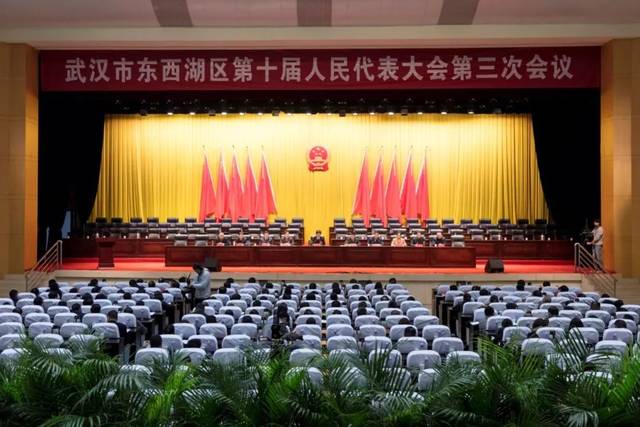 東西湖區(qū)最新任免，人事變動的觀點闡述與解析