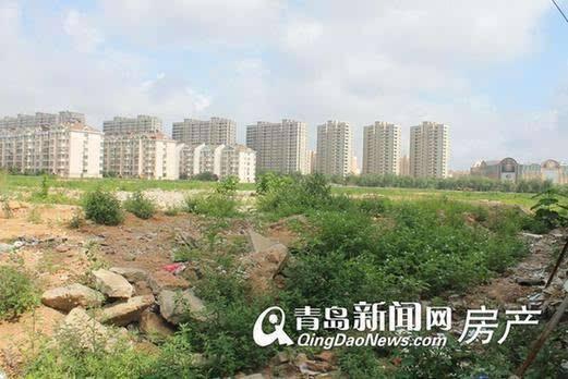 李滄楊哥莊最新動(dòng)態(tài)，科技引領(lǐng)生活，智能新品體驗(yàn)未來(lái)