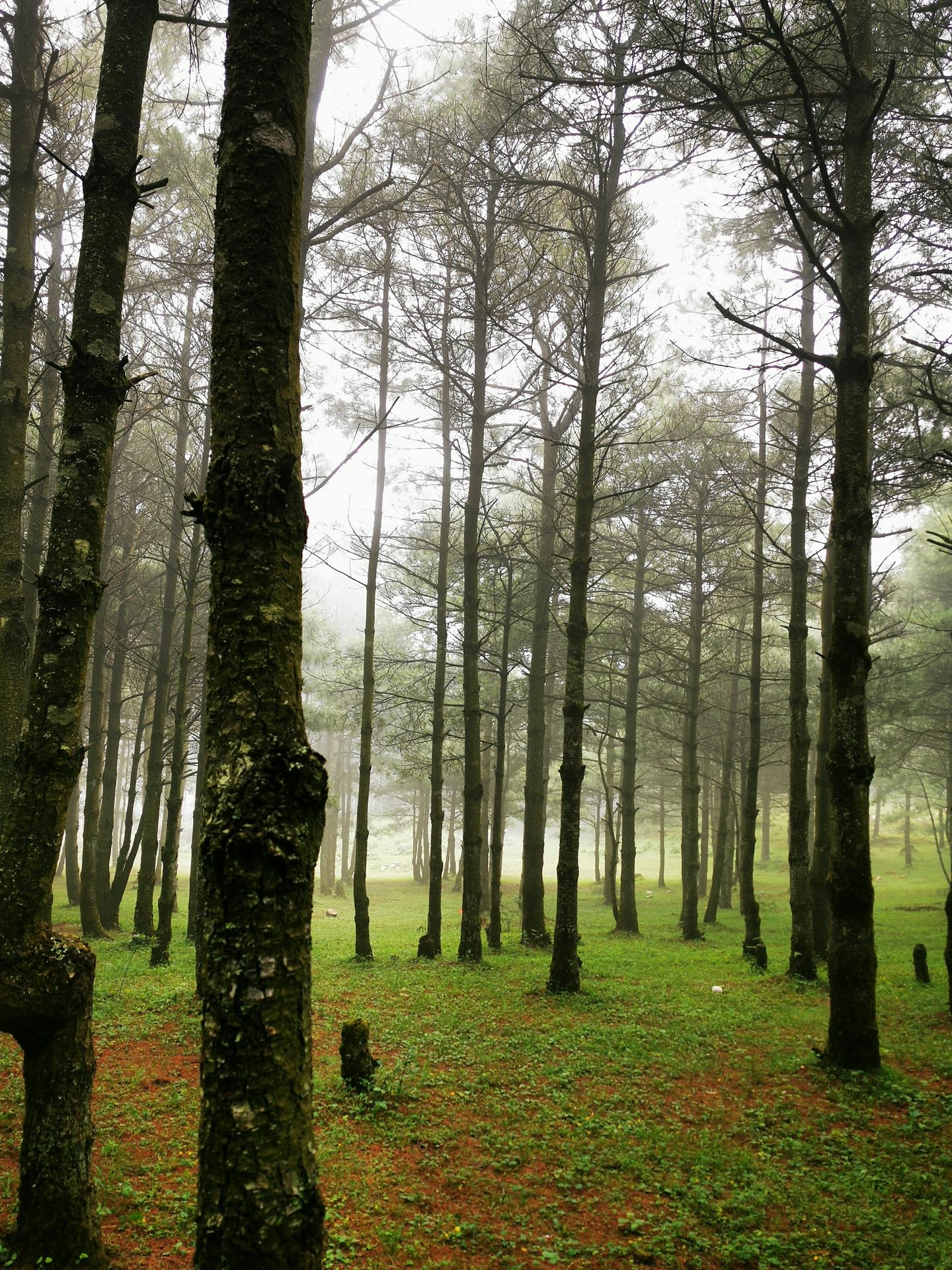 期貨世界第三部最新探索，與自然美景的邂逅與內(nèi)心平和的追尋