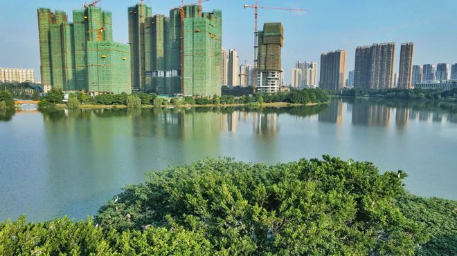 綠島湖一號最新動態(tài)揭秘,神秘角落與小巷風(fēng)情小店探秘