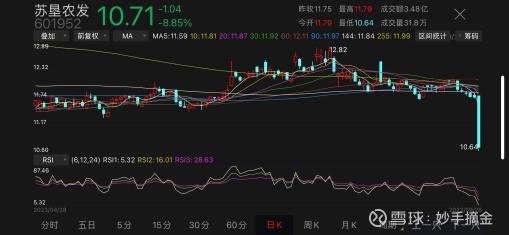 蘇墾農(nóng)發(fā)股票最新動態(tài)與溫馨日常故事揭秘
