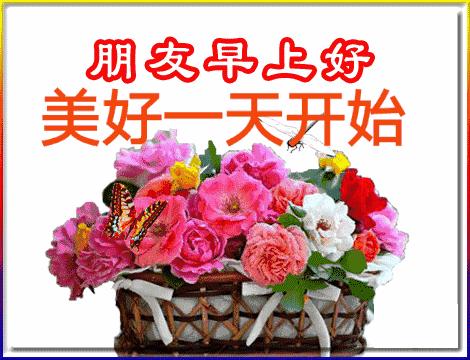 五福碰胡最新版下載，變化、學(xué)習(xí)與自信的力量之源