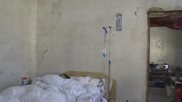 成武縣汶上鎮(zhèn)探秘，巷弄深處的獨(dú)特小店最新消息揭秘