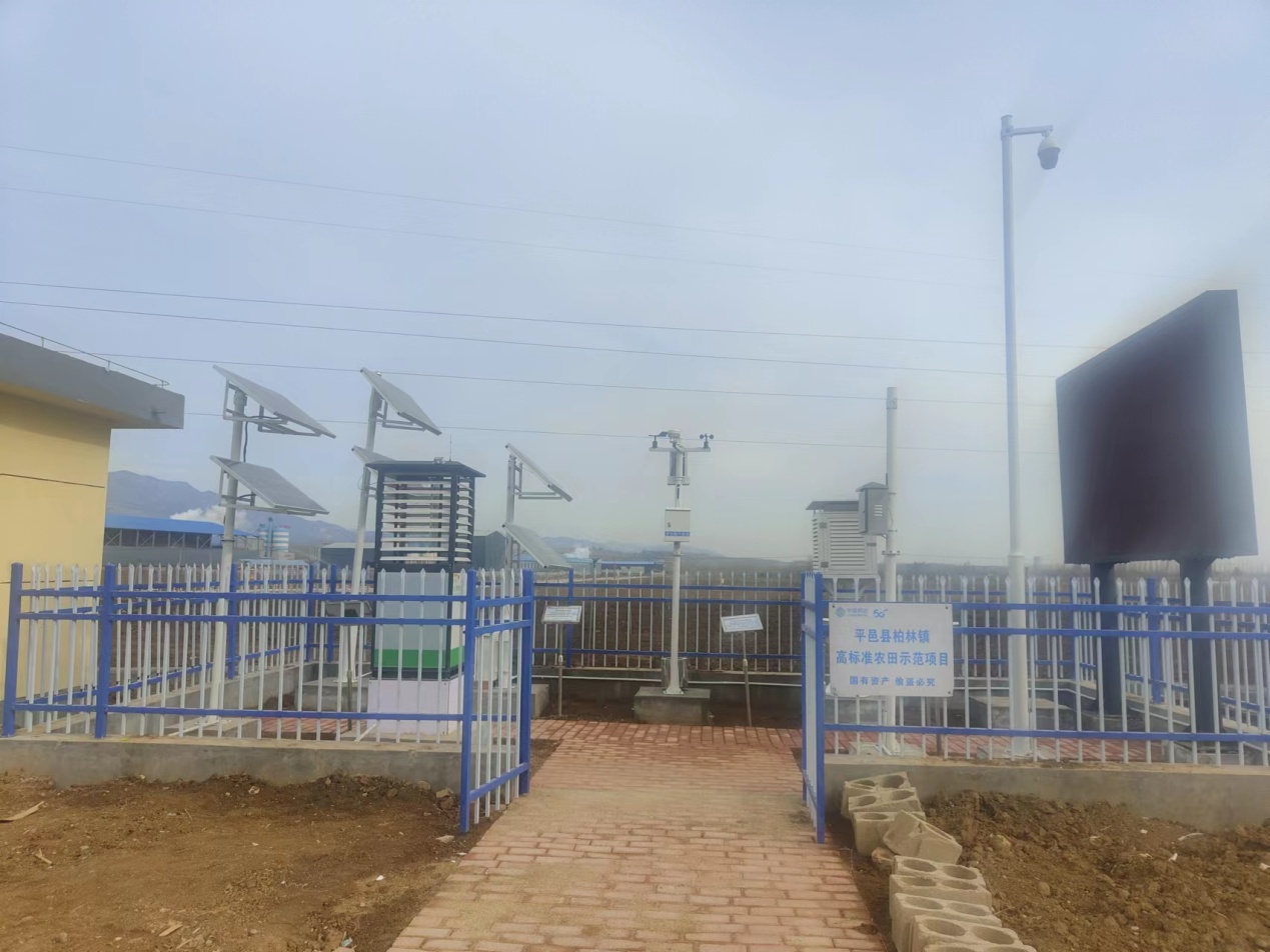 平邑縣鄉(xiāng)村豐最新動態(tài)，繁榮背后的故事揭秘