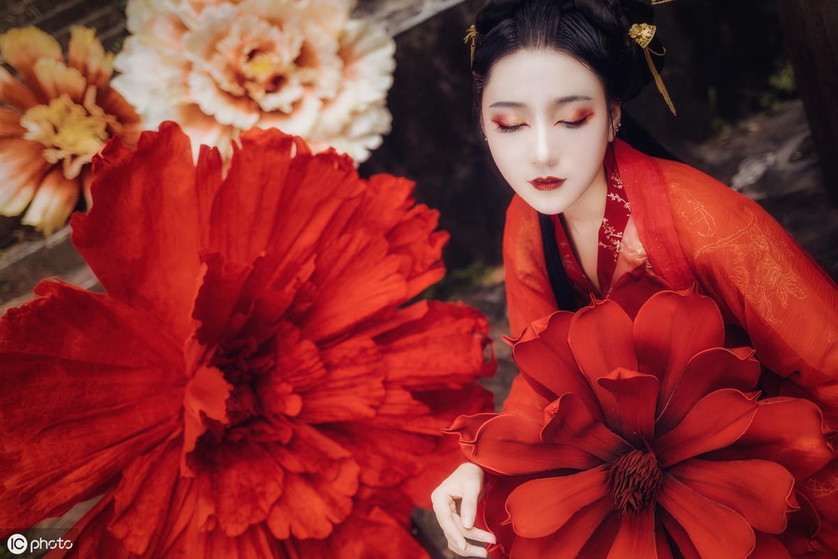 三亞海棠月色最新動(dòng)態(tài)更新，最新消息匯總