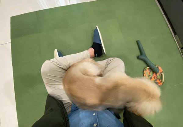 探索萌文化的魅力之旅，最新章節(jié)閱讀大全