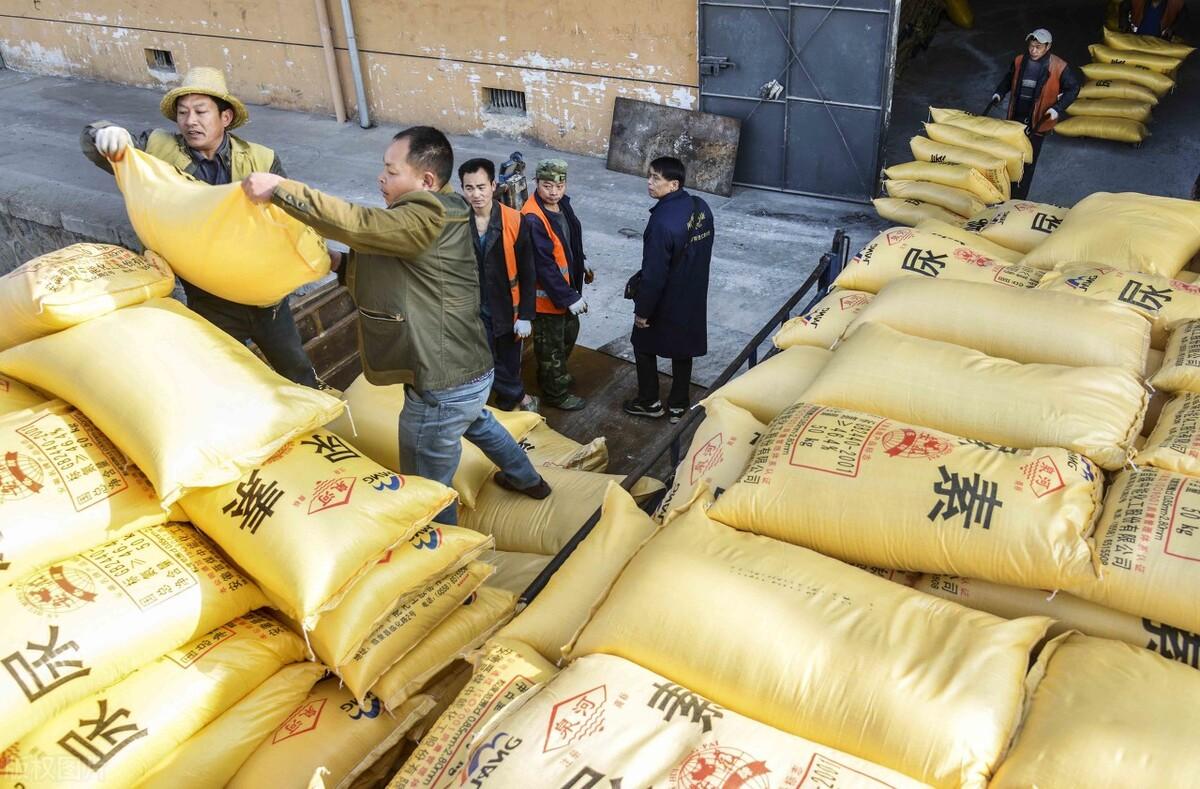 全國尿素最新價格，科技重塑生活下的新面貌