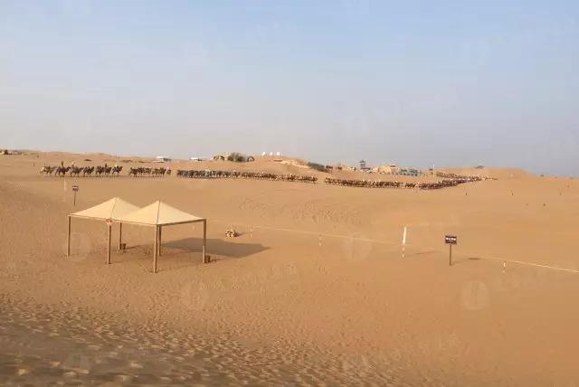 寧夏自駕游攻略大揭秘，最新攻略分享