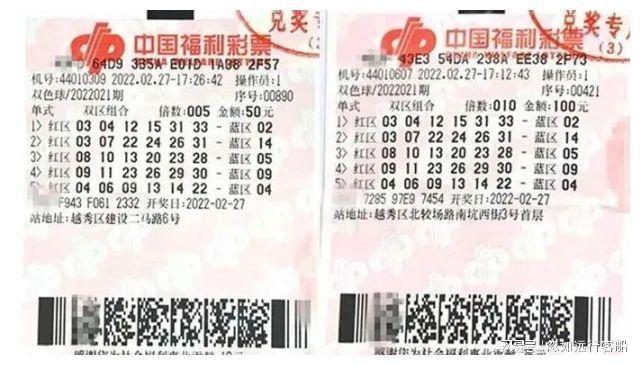 雙色球最新探索，自然美景的冒險之旅