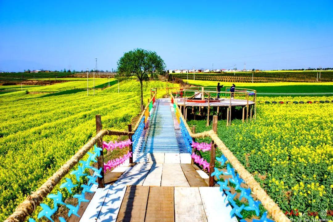 寶雞市最新概況概覽