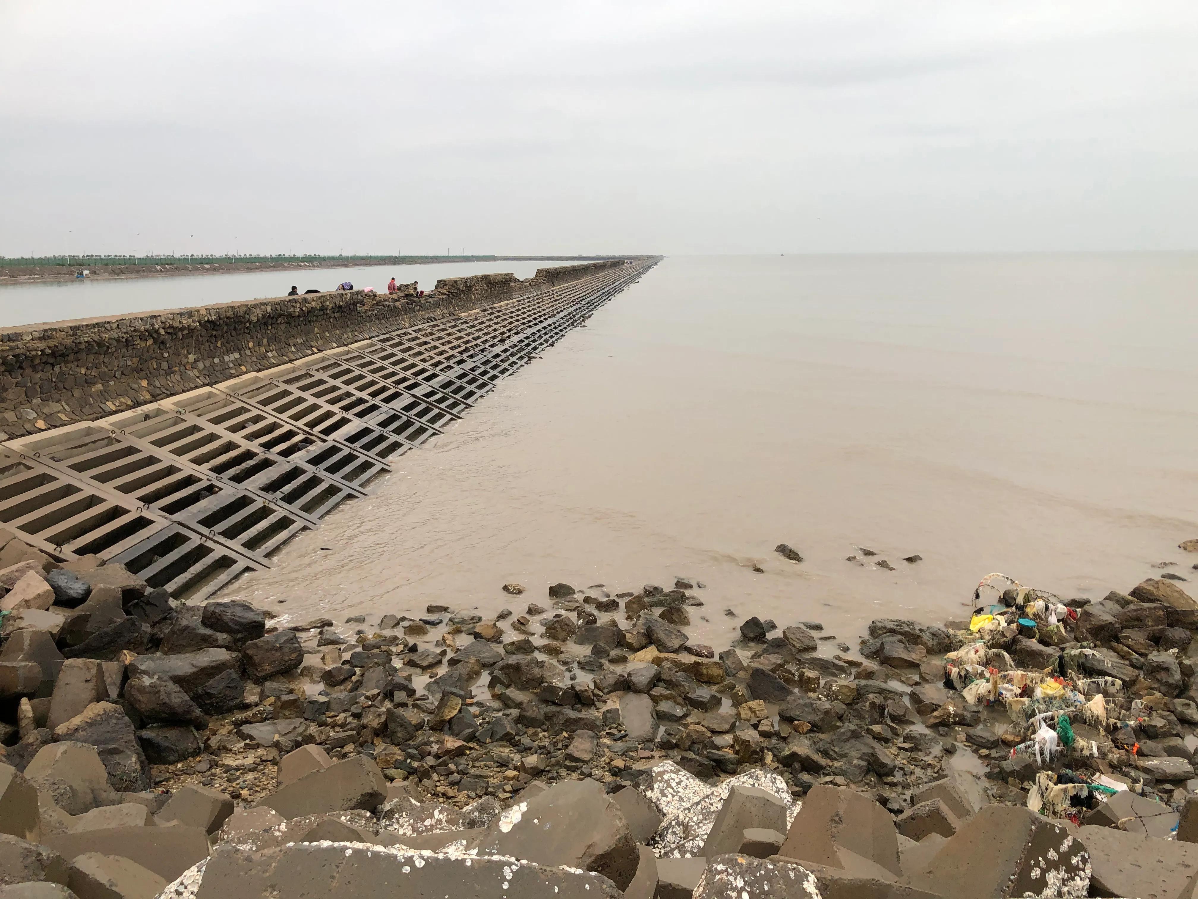 黃驊港最新招聘動態(tài)，日常招聘故事與友情紐帶