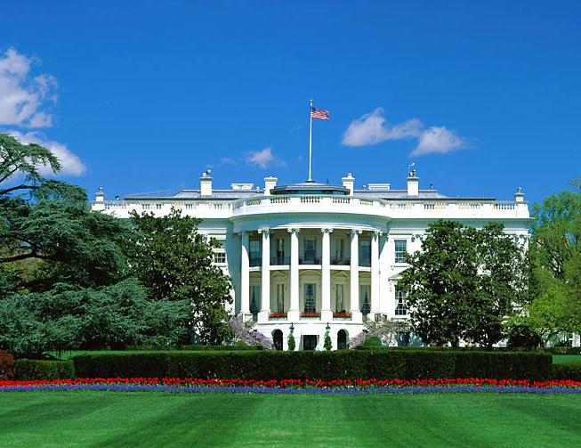 探索自然美景魅力的心靈之旅，最新紙品資訊與動態(tài)